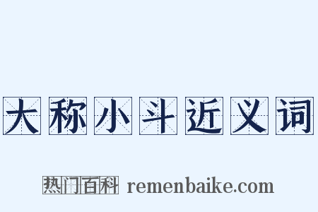 大称小斗近义词是什么意思的图片
